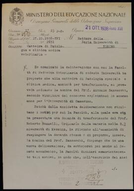 Professori. Pratiche generali