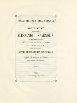 Tesi del 1858
