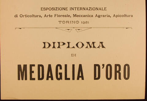 Original Oggetto digitale not accessible